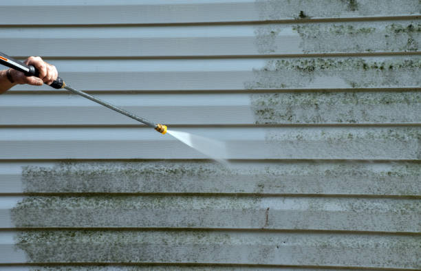 Mold Testing and Removal in Dequincy, LA