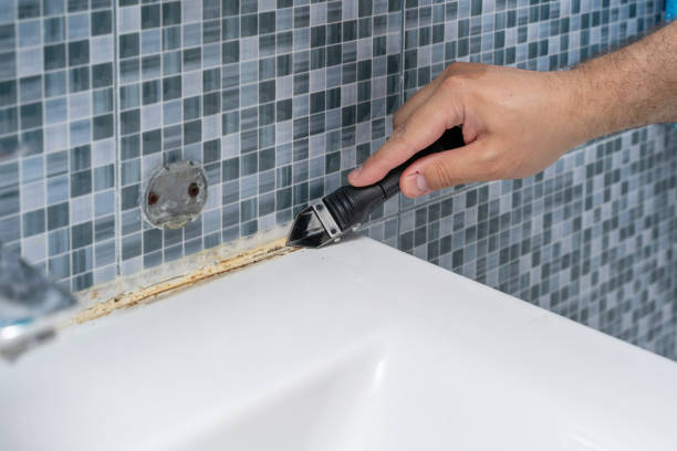 Best Attic Mold Removal  in Dequincy, LA