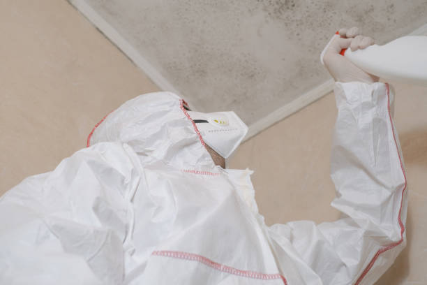 Best Crawl Space Mold Removal  in Dequincy, LA