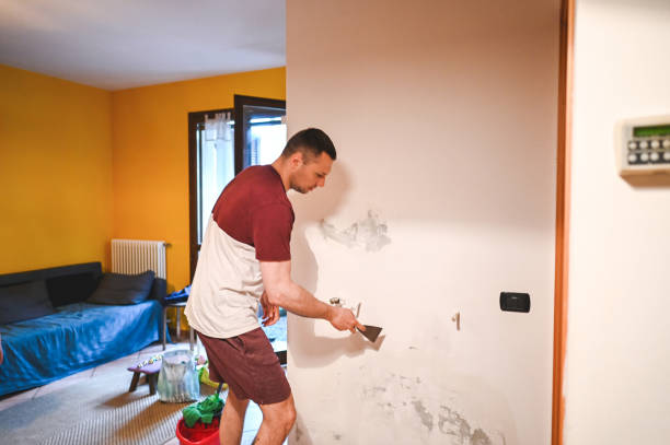 Best Toxic Mold Removal  in Dequincy, LA